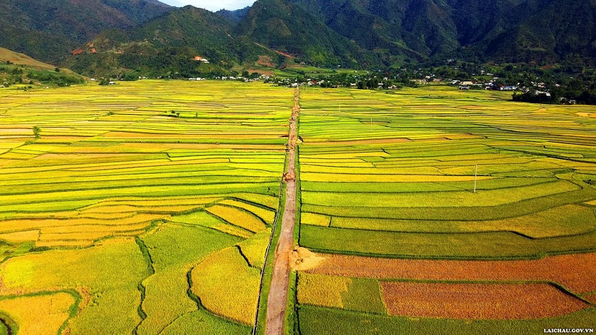 Các điểm “săn mùa vàng” đẹp nhất Lai Châu tháng 9
