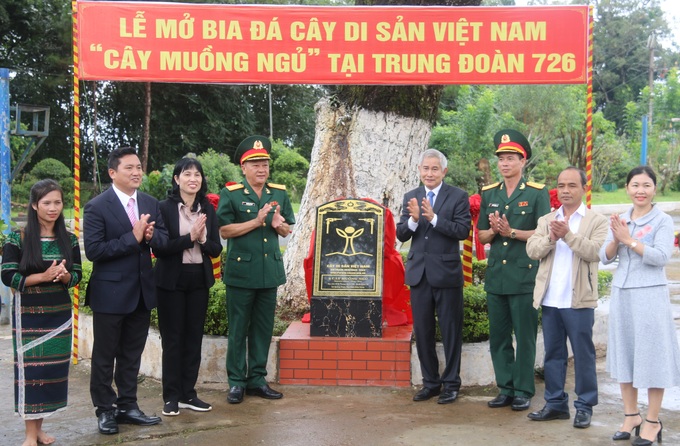Cây me tây người Pháp trồng tặng vua Bảo Đại là Cây di sản Việt Nam - 3