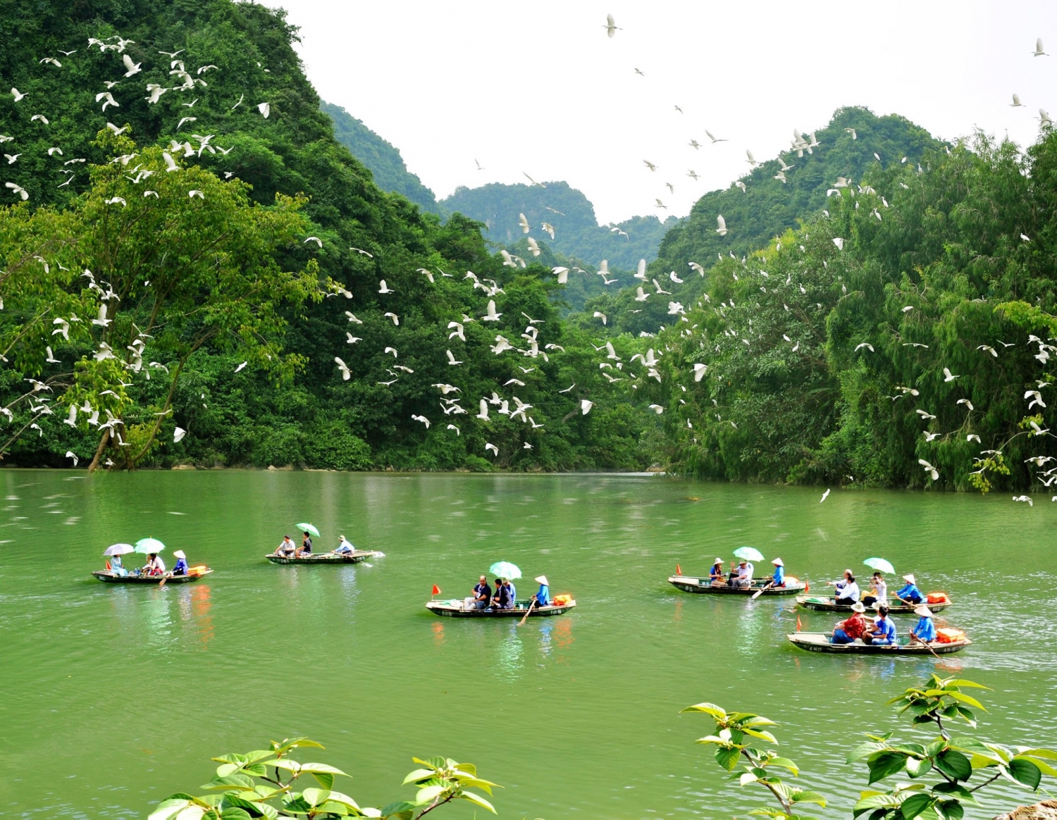 Vườn chim Thung Nham: Vẻ đẹp non nước hữu tình