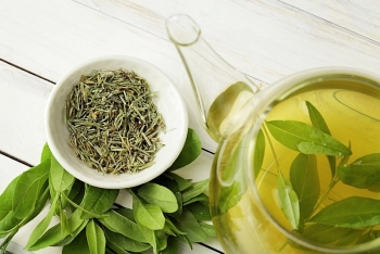 Uống trà xanh đẩy lùi bệnh tật