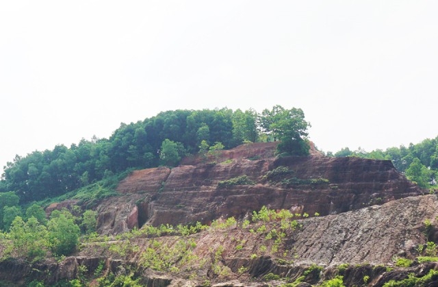 thu phu da do quy chau voc mot nam dat cung gap da quy