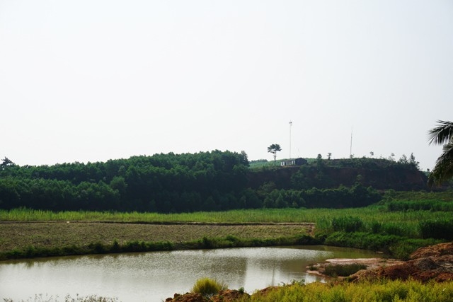 thu phu da do quy chau voc mot nam dat cung gap da quy