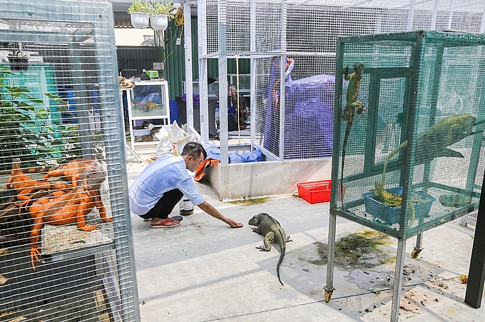nguoi dan ong nuoi hang tram con rong nam my o sai gon