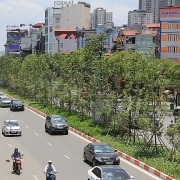 crea covid 19 tac dong manh den chat luong khong khi dong nam a