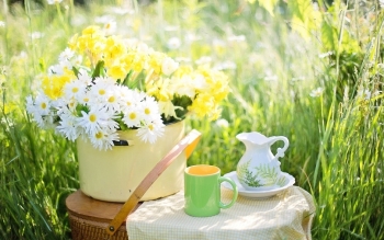 Tử vi tuần mới 28/6 - 4/7 của 12 cung hoàng đạo: Bảo Bình bản lĩnh