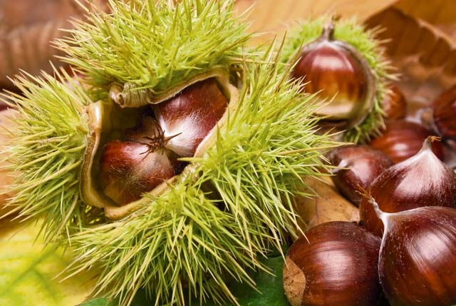 tu vi thu sau ngay 1112019 cua 12 cung hoang dao 554087