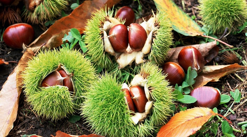 tu vi thu sau ngay 1112019 cua 12 cung hoang dao 554087