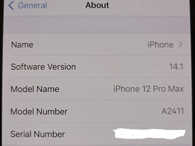 iPhone 12 Pro Max bất ngờ xuất hiện ở Việt Nam trước ngày mở bán - 3