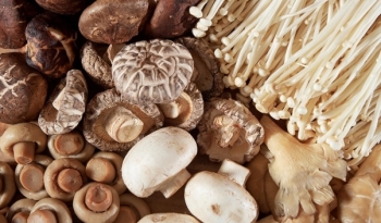 5 loại rau “đứng đầu bảng” tốt cho sức khỏe bạn nhất định phải ăn