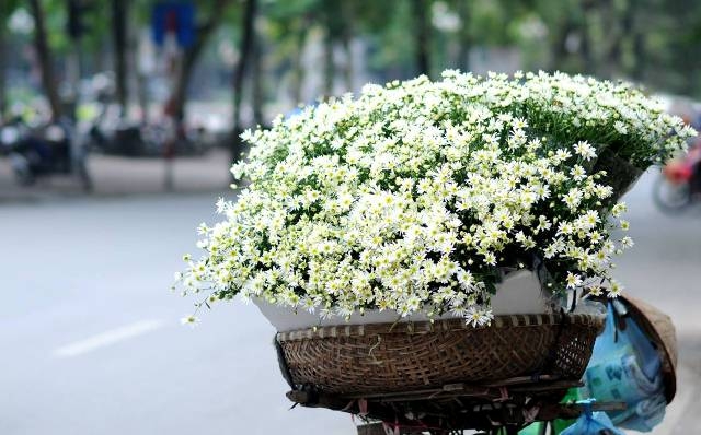 Tử vi ngày 23/10/2021 của 12 cung hoàng đạo: Cự Giải thông minh, Thiên Bình chu đáo