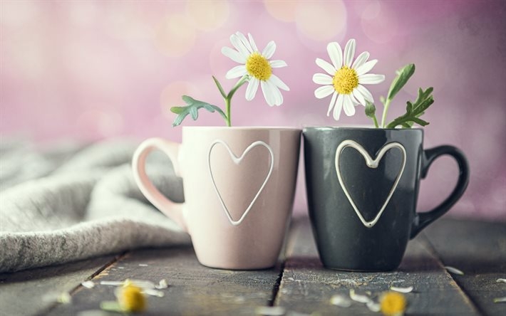 Tử vi ngày 17/10/2021 của 12 cung hoàng đạo: Sư Tử thoải mái, Thiên Bình nhiệt tình