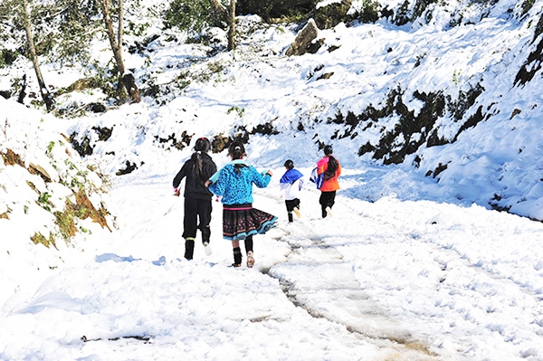 ''Mùa vàng'' du lịch Đông - Tây Bắc ''Mùa vàng'' du lịch Đông - Tây Bắc