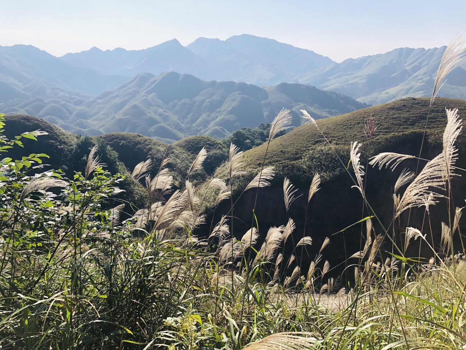 ''Mùa vàng'' du lịch Đông - Tây Bắc ''Mùa vàng'' du lịch Đông - Tây Bắc