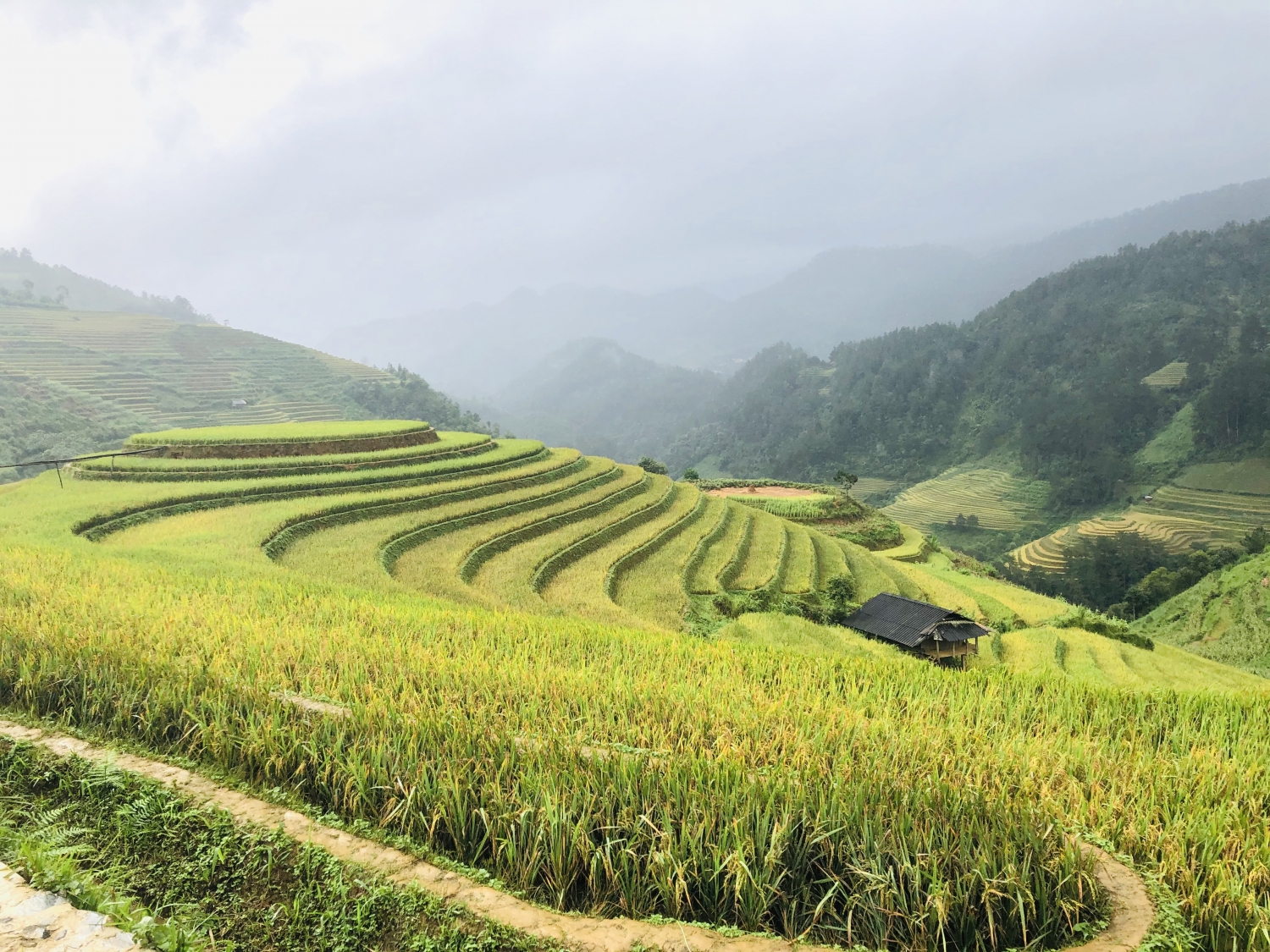 ''Mùa vàng'' du lịch Đông - Tây Bắc ''Mùa vàng'' du lịch Đông - Tây Bắc