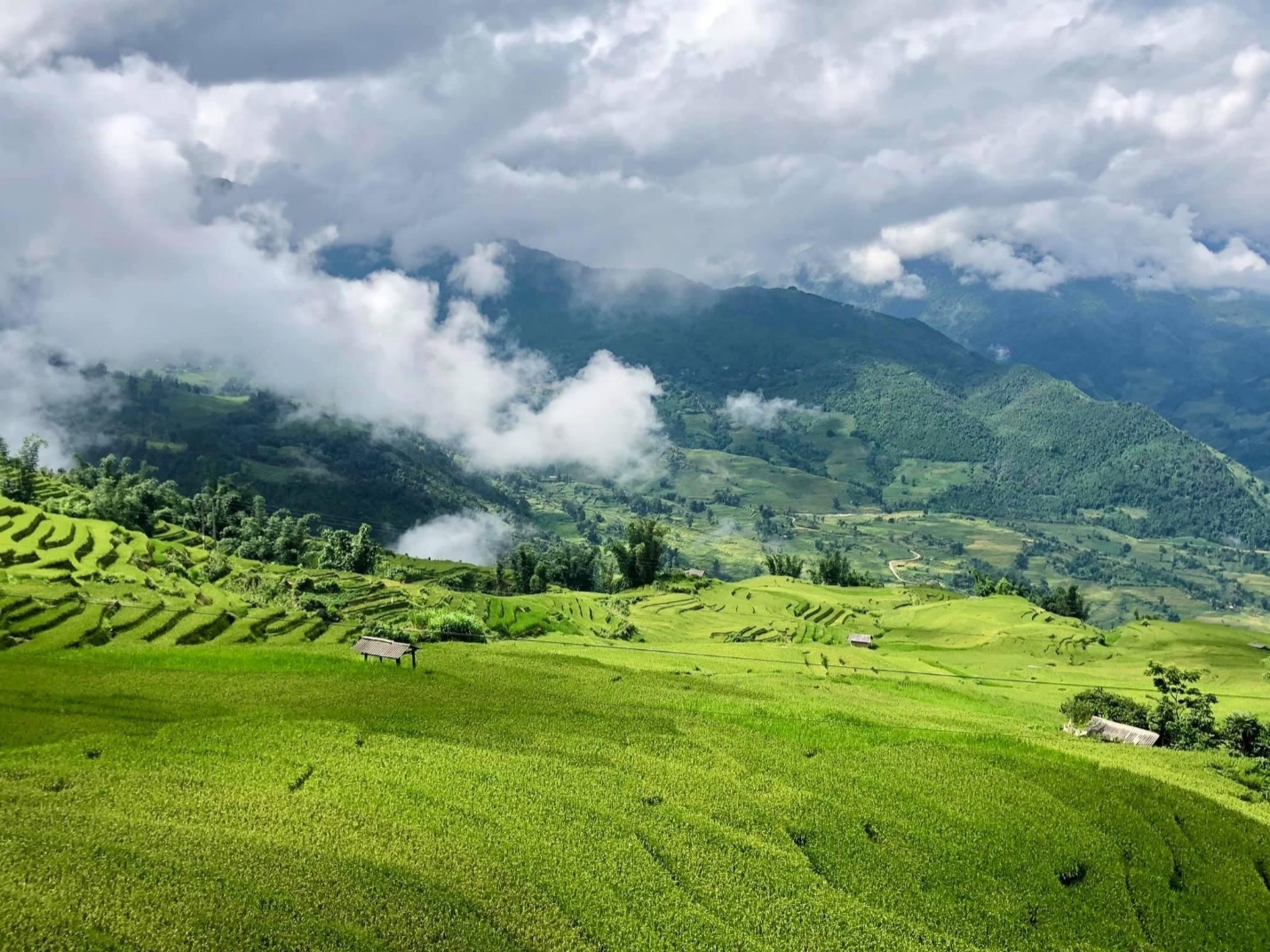 Lào Cai: Thung lũng ruộng bậc thang Thề Pả mùa lúa chín