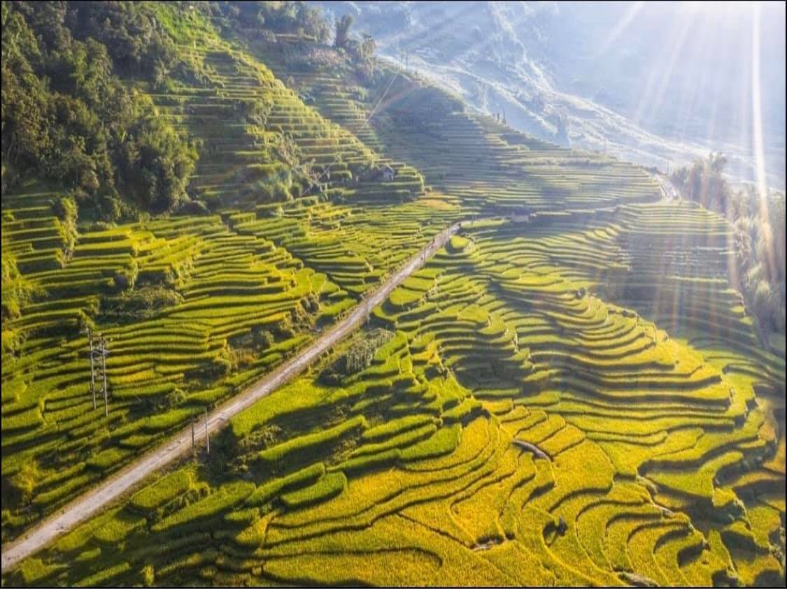 Lào Cai: Thung lũng ruộng bậc thang Thề Pả mùa lúa chín