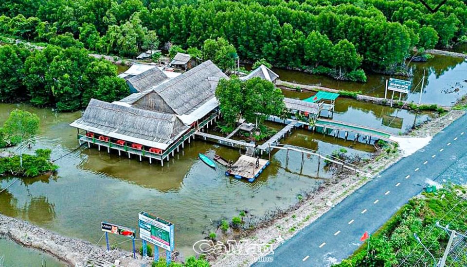 Cà Mau: Du lịch “xanh” Cà Mau: Du lịch “xanh”