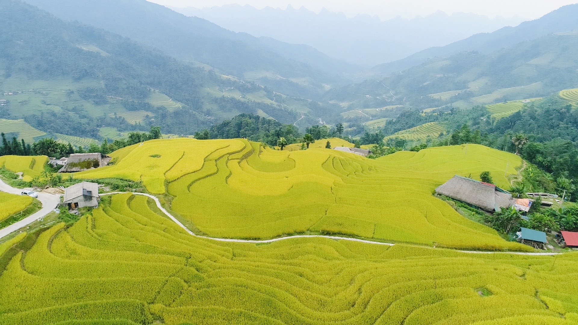 Hà Giang: Xà Phìn thu hút khách du lịch trong “mùa vàng”