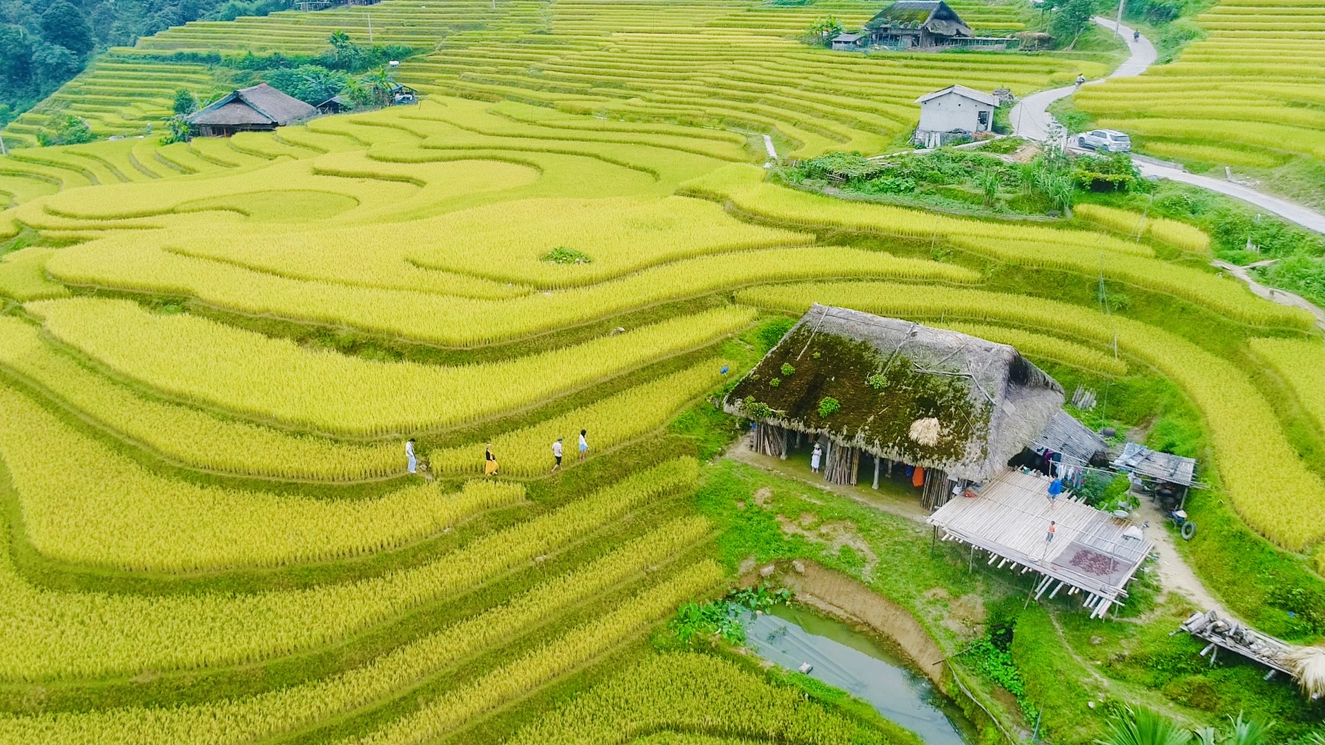 Hà Giang: Xà Phìn thu hút khách du lịch trong “mùa vàng”