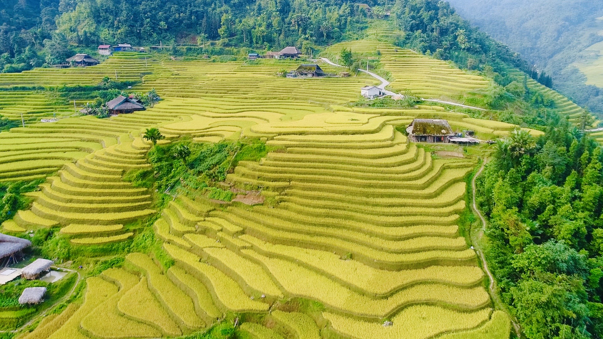 Hà Giang: Xà Phìn thu hút khách du lịch trong “mùa vàng”