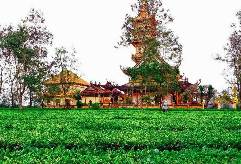 Chìm đắm trong vẻ đẹp mộng mơ ở Biển Hồ chè