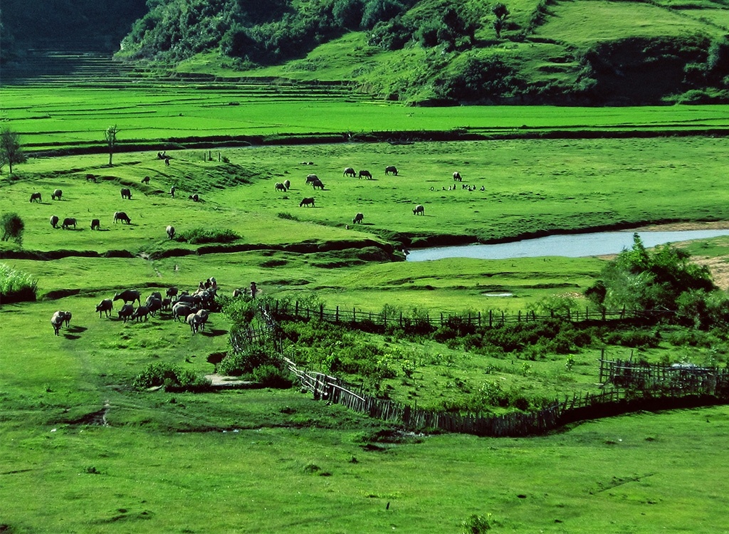 Măng Đen - Vẻ đẹp tiềm ẩn giữa núi rừng Tây Nguyên