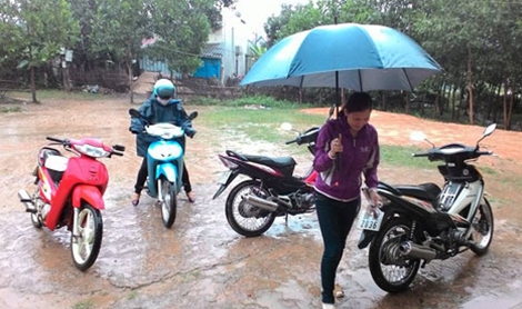 nhung bo hoa dai am long thay co