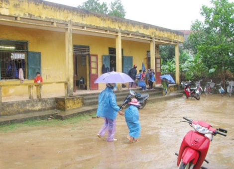 nhung bo hoa dai am long thay co