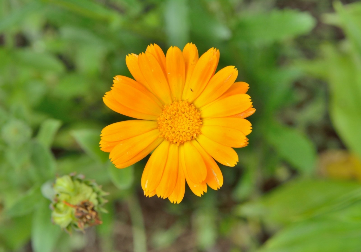tu-vi-thu-ba-ngay-5112019-cua-12-cung-hoang-dao-1