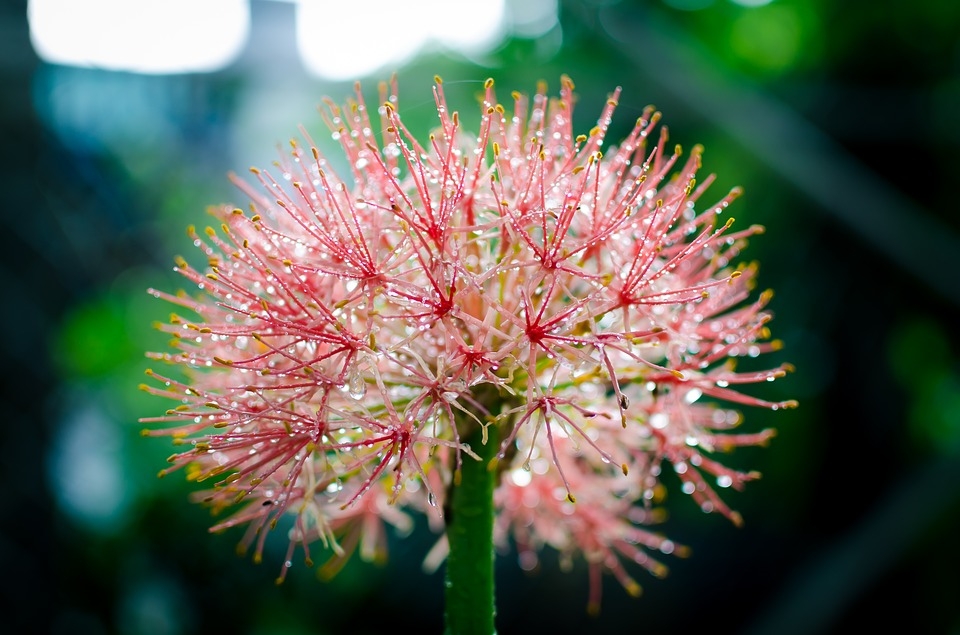 Tử vi tháng 7/2023 của 12 cung hoàng đạo: Kim Ngưu hăng hái, Bọ Cạp ưa mạo hiểm Tử vi tháng 7/2023 của 12 cung hoàng đạo: Kim Ngưu hăng hái, Bọ Cạp ưa mạo hiểm