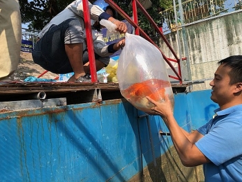 Tháo dỡ hệ thống làm sạch sông Tô Lịch, di chuyển đàn cá Koi sang Hồ Tây