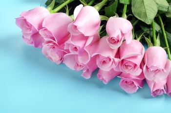 Tử vi thứ Hai ngày 25/11/2019 của 12 cung hoàng đạo