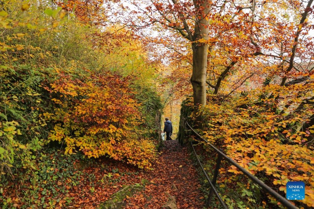 Cảnh sắc tuyệt vời của mùa thu châu Âu