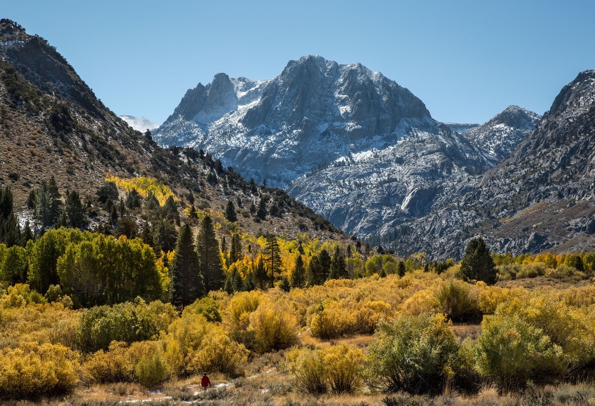 Tận hưởng không gian mùa thu dịu dàng, quyến rũ Đắm chìm trong cảnh sắc mùa thu dịu dàng, quyến rũ