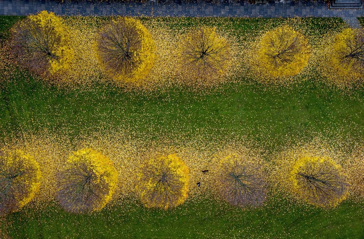 Tận hưởng không gian mùa thu dịu dàng, quyến rũ Đắm chìm trong cảnh sắc mùa thu dịu dàng, quyến rũ