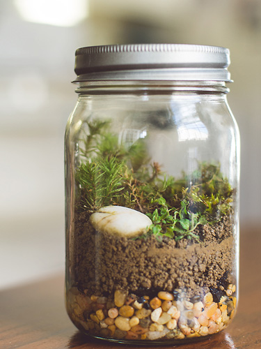 Ý tưởng hay với lọ thủy tinh