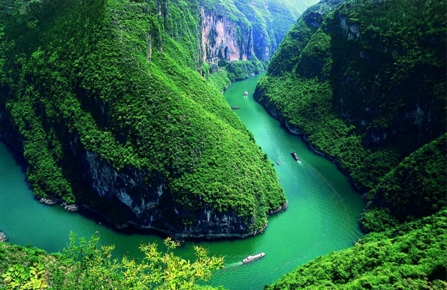 tu vi thu nam ngay 6122018 cua 12 cung hoang dao