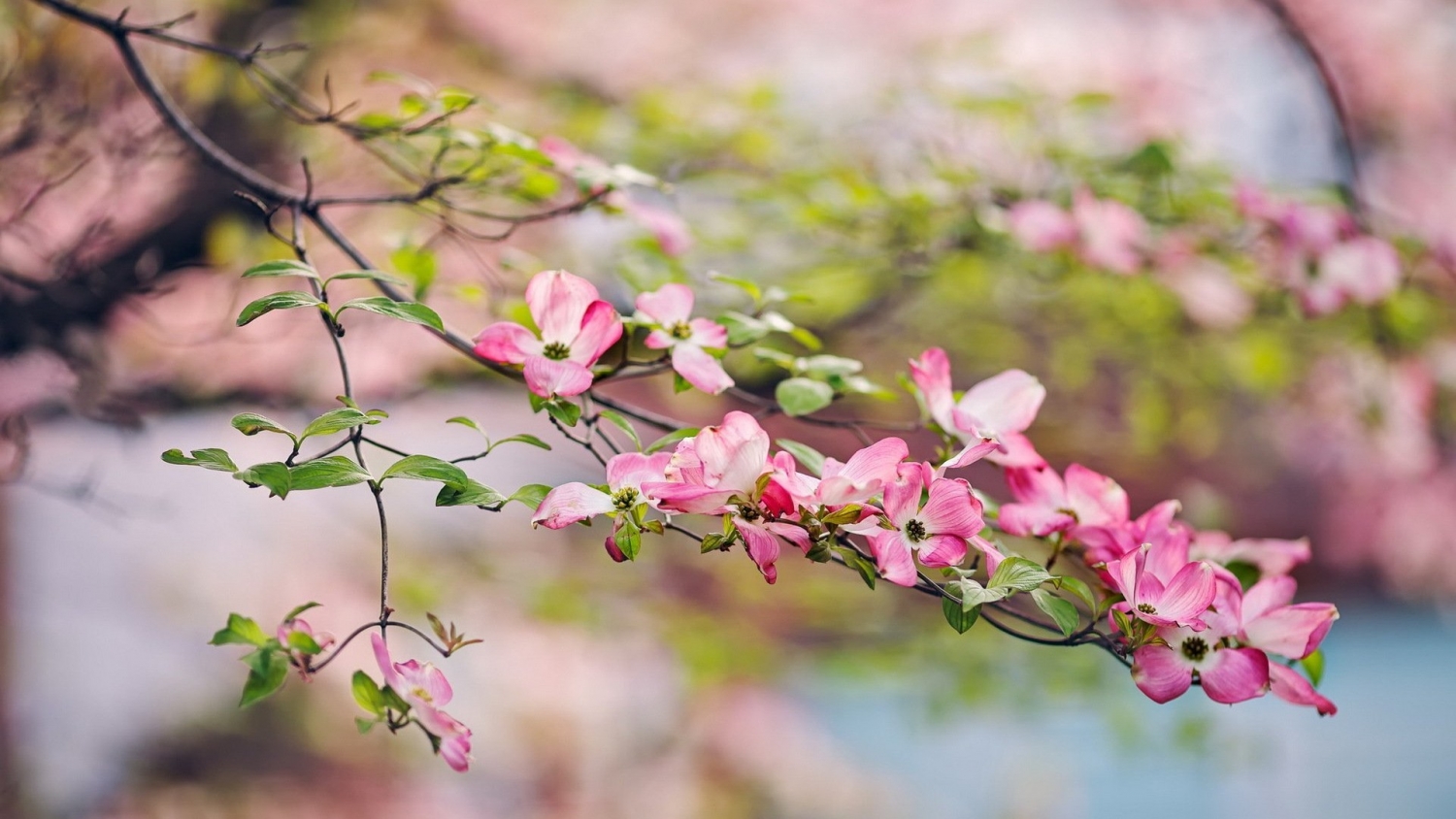 Tử vi ngày 14/3/2021 của 12 cung hoàng đạo: Thiên Bình buồn vì chuyện tình cảm