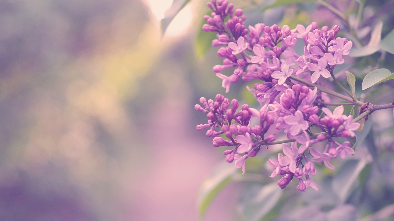 Tử vi tháng 7/2021 của 12 cung hoàng đạo: Song Tử nhiều niềm vui