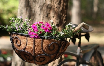 Tử vi tuần mới 15/3 - 21/3 của 12 cung hoàng đạo: Xử Nữ hãy lạc quan