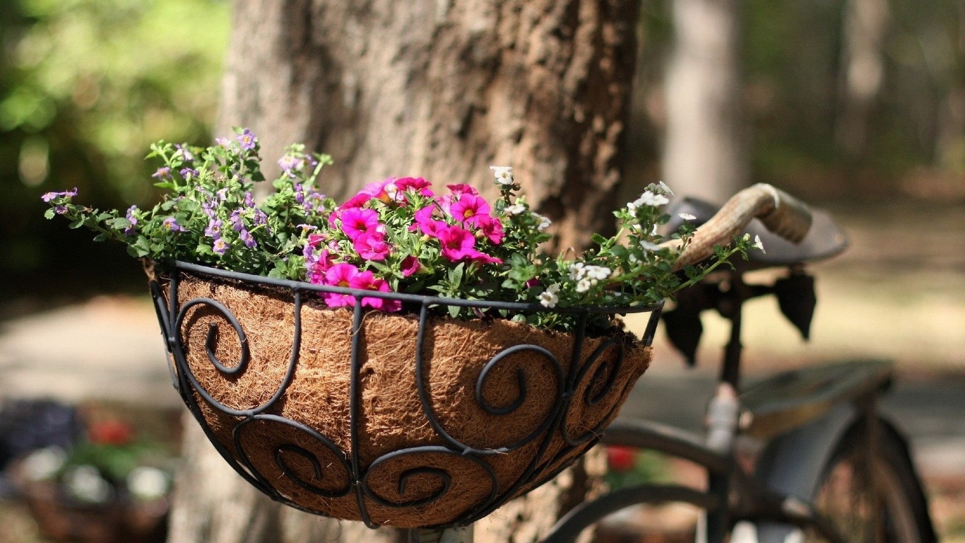 Tử vi tuần mới 15/3   21/3 của 12 cung hoàng đạo: Xử Nữ hãy lạc quan