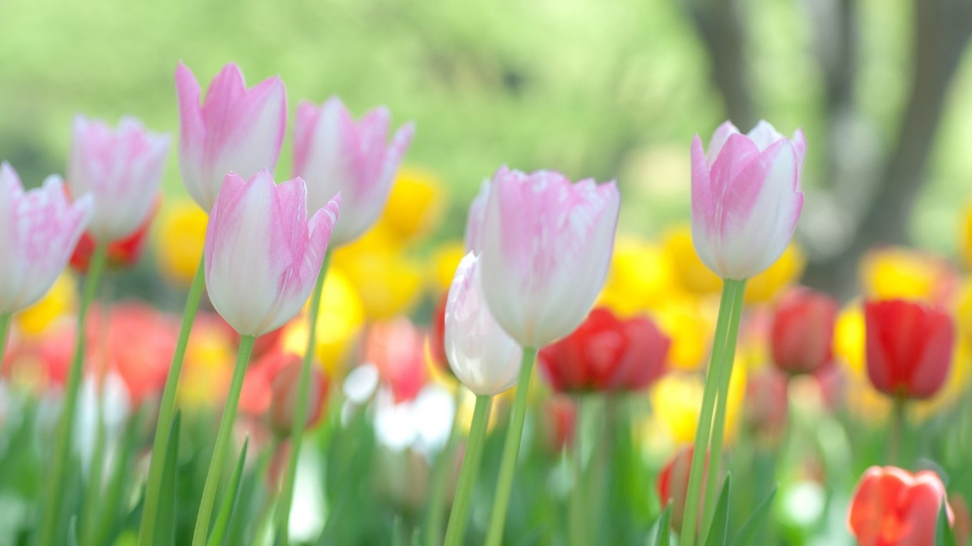Tử vi ngày 15/5/2021 của 12 cung hoàng đạo: Bảo Bình tài chính ổn định