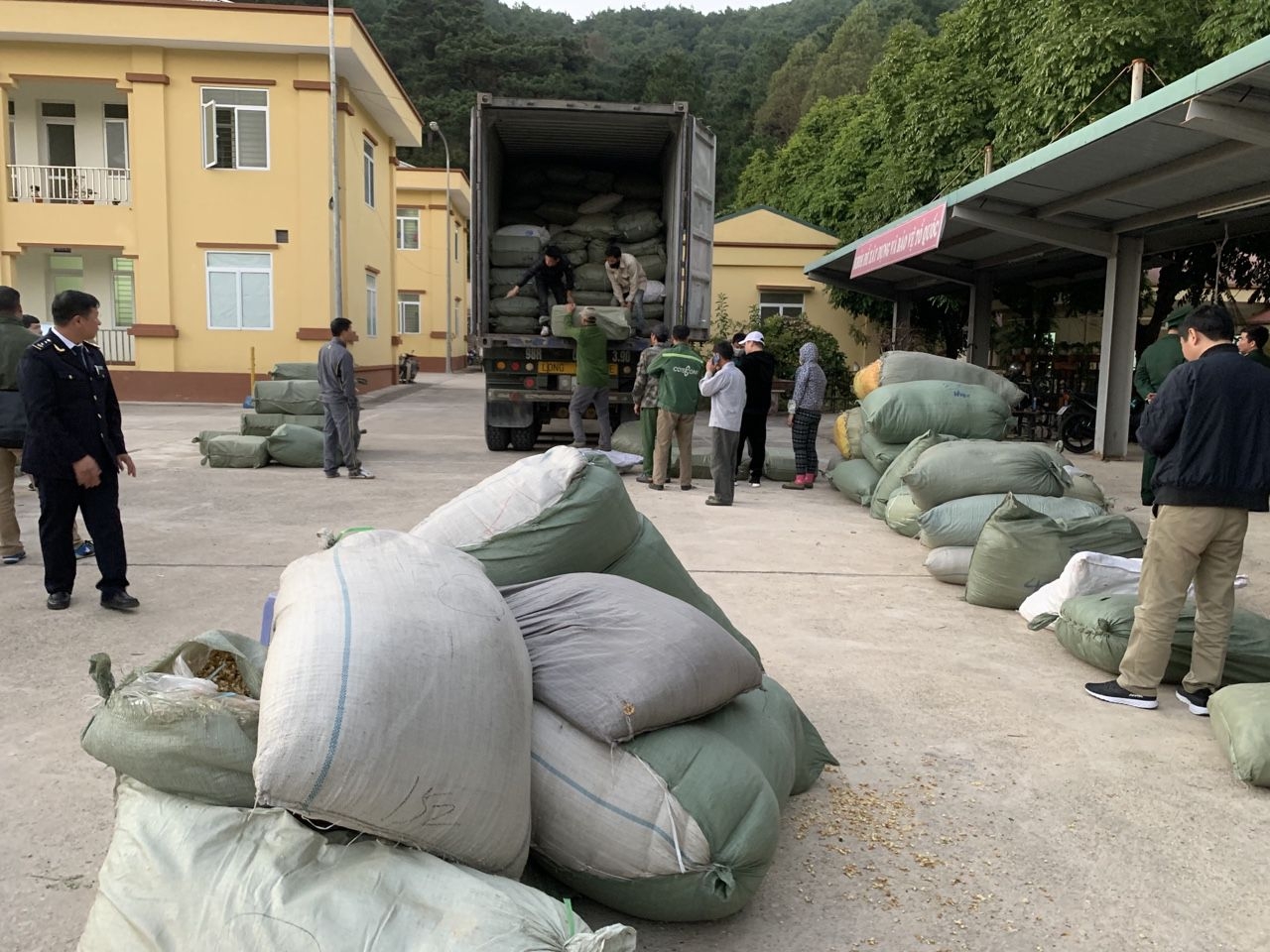 bat giu 3 doi tuong buon lau hon 100 tan duoc lieu qua nhieu tinh