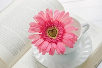Tử vi ngày 4/6/2021 của 12 cung hoàng đạo: Xử Nữ tài chính ổn định