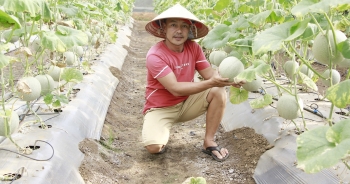 Bỏ phố thị về núi trồng dưa lưới, chàng kỹ sư thành công nhờ lối đi riêng