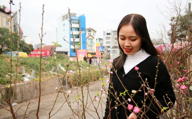 Đào, bưởi 