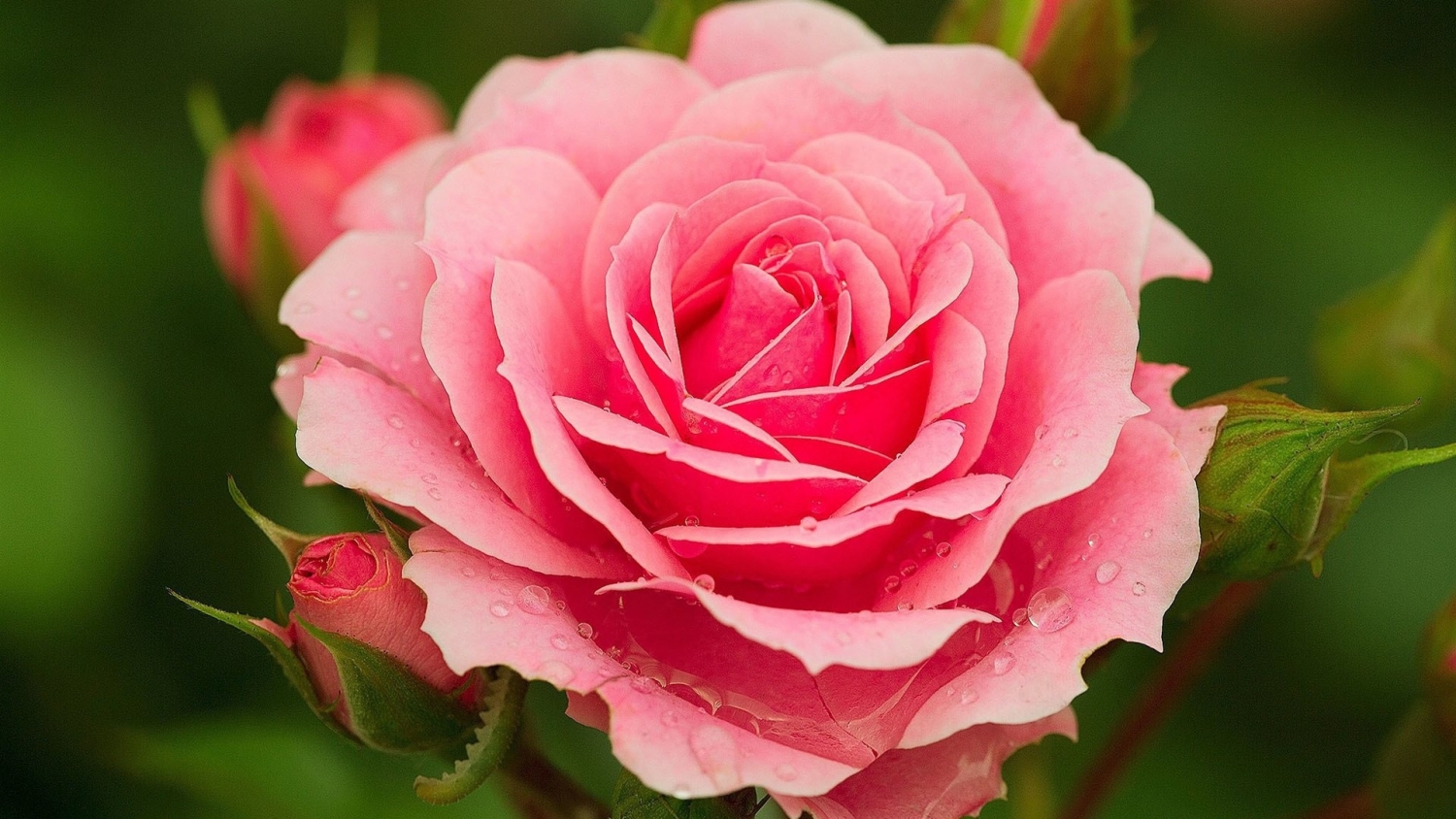 Tử vi ngày 17/12/2021 của 12 cung hoàng đạo: Kim Ngưu trách nhiệm, Song Ngư thiếu tập trung Tử vi ngày 17/12/2021 của 12 cung hoàng đạo: Kim Ngưu trách nhiệm, Song Ngư thiếu tập trung