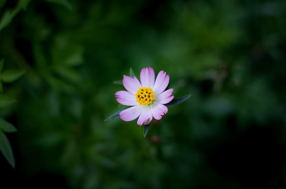 Tử vi ngày 17/12/2021 của 12 cung hoàng đạo: Kim Ngưu trách nhiệm, Song Ngư thiếu tập trung Tử vi ngày 17/12/2021 của 12 cung hoàng đạo: Kim Ngưu trách nhiệm, Song Ngư thiếu tập trung