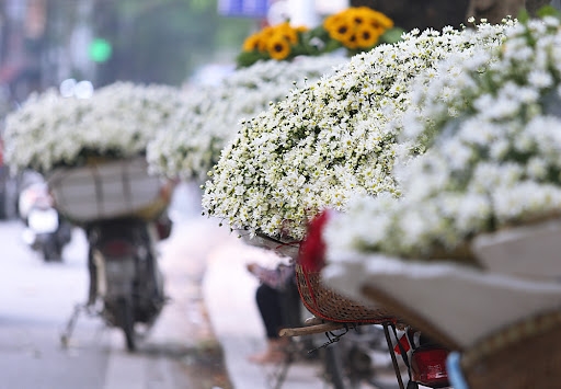 Dự báo thời tiết hôm nay ngày 22/12: Sắp đón đợt không khí lạnh trên diện rộng