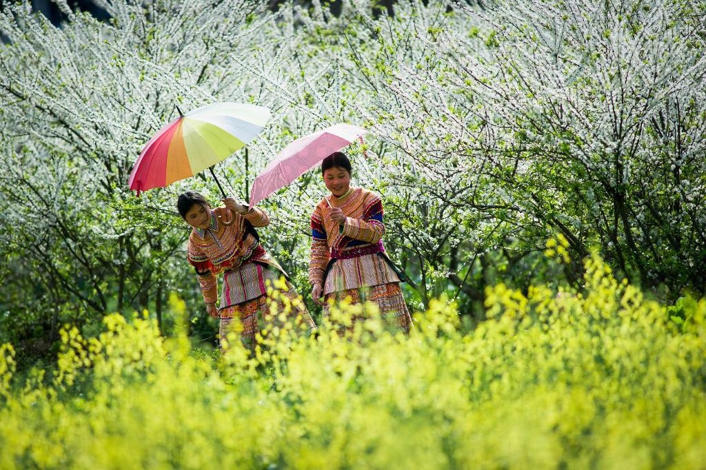 Sapa trở thành một trong những điểm đến hấp dẫn nhất trong bảng xếp hạng năm nay Sapa trở thành một trong những điểm đến hấp dẫn nhất trong bảng xếp hạng năm nay